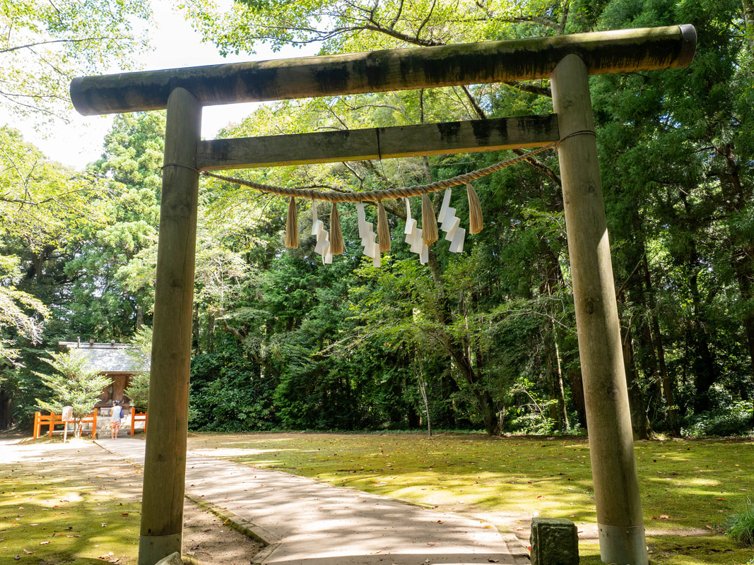 写真