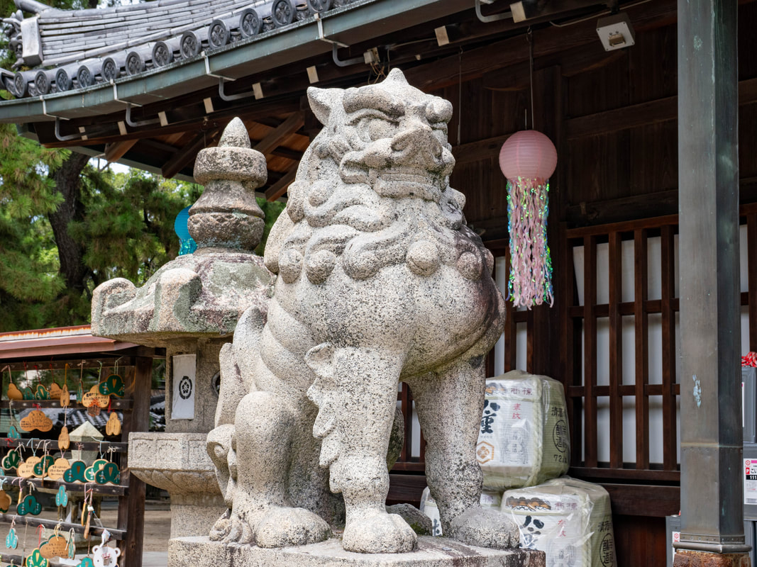 写真