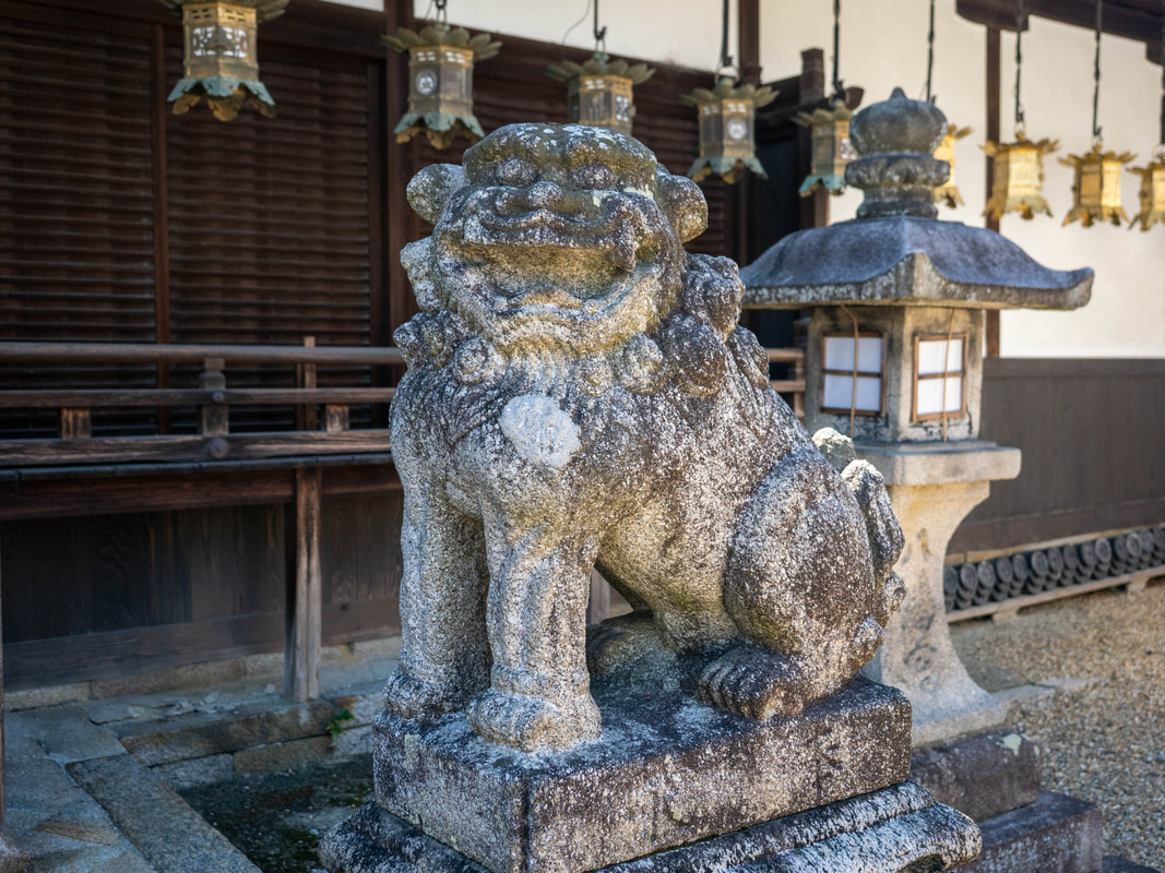 写真