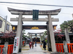 Picture